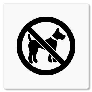 Zákaz vstupu zvířat, 80x80mm, bílá, Nevada